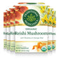 Traditional Medicinals Organic Reishi Mushroom Tea, Rooibos & Orange Peel, 96 Tea Bags (6 Pack), Natural