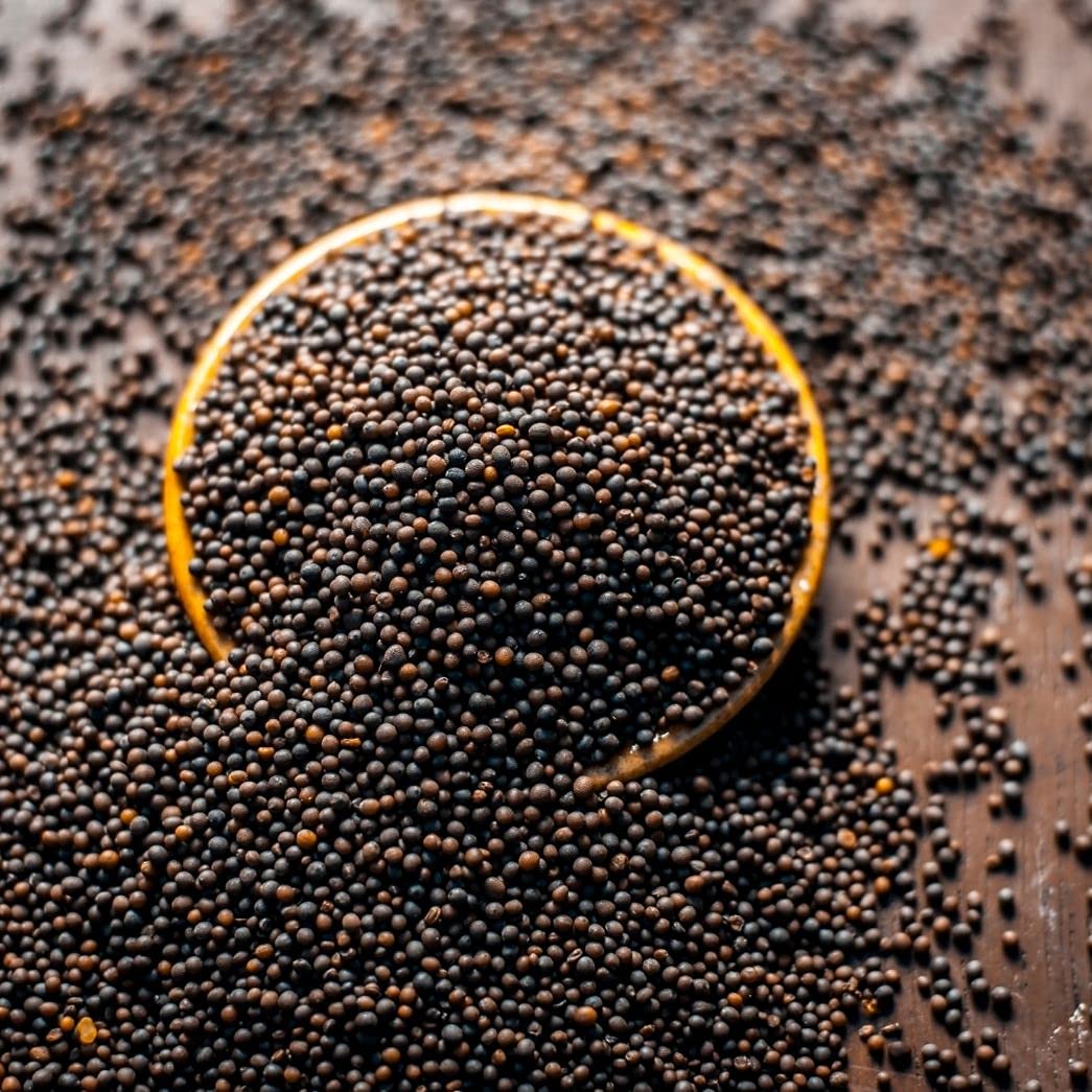 Fruidles Brown Mustard Seeds, Add Aroma, Flavor, And Seasoning To Every Dish, Kosher Certified, 10 Oz (Brown Mustard Seeds)