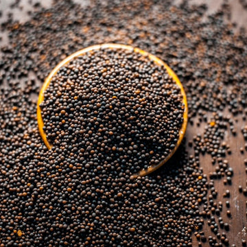 Fruidles Brown Mustard Seeds, Add Aroma, Flavor, And Seasoning To Every Dish, Kosher Certified, 10 Oz (Brown Mustard Seeds)