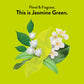 Choice Organic Teas Organic Jasmine Green Tea - 96 Tea Bags - Fair Trade - 16 Count (Pack of 6) - Contains Caffeine