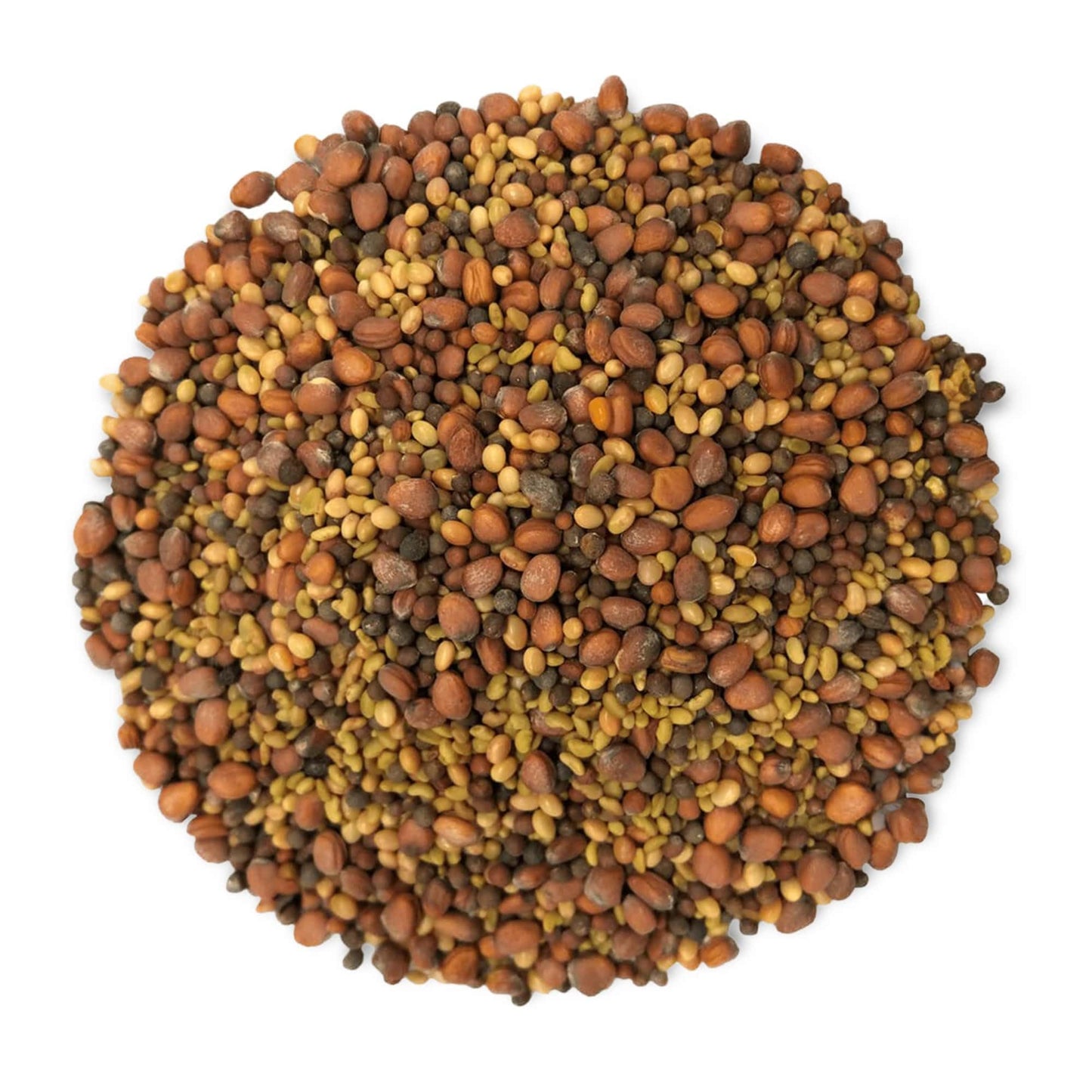 Food to Live Organic Salad Mix of Sprouting Seeds, 8 Ounces - Non-GMO Broccoli, Radish, Clover, Alfalfa. Rich Germination Rate,