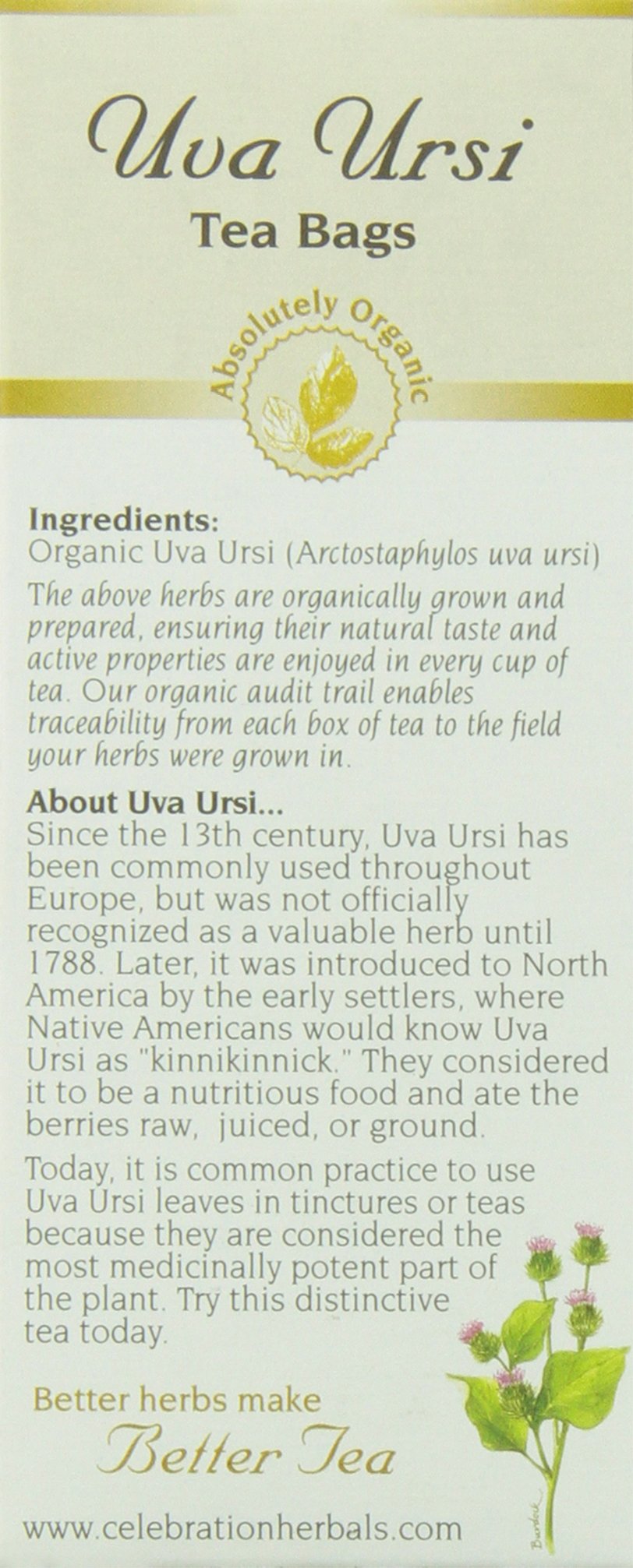 Celebration Herbals Uva Ursi Tea Organic 24 Bag, 0.02 Pound