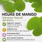 Mango Dried Leaf Tea (Hojas de Mango secas) - Jumbo 4 oz Loose Leaf Herbal Tea - 100% Natural  Vegan  Non-GMO  Caffeine-Free - Traditional Herbal Infusion for Wellness & Relaxation - by BexpertsUSA
