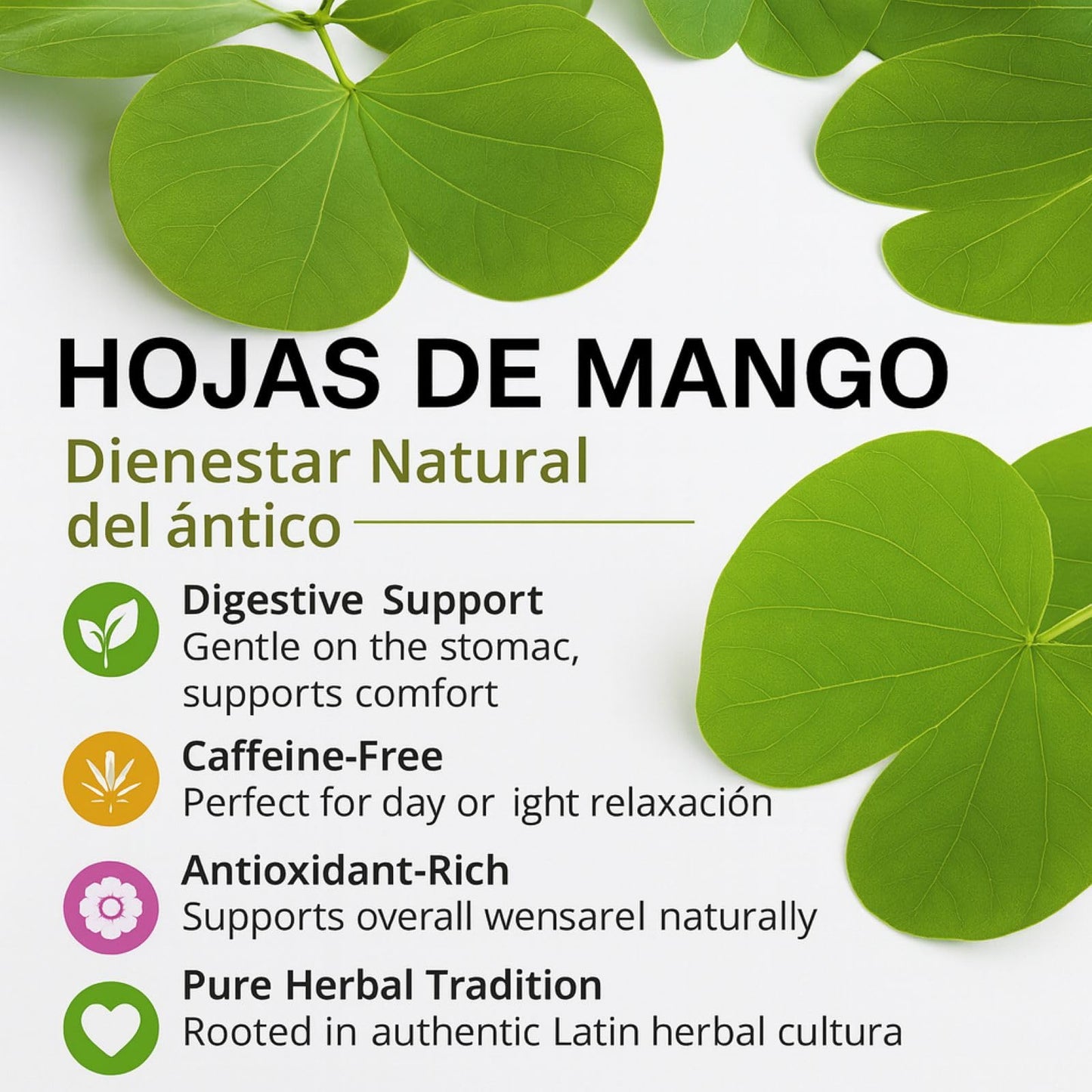 Mango Dried Leaf Tea (Hojas de Mango secas) - Jumbo 4 oz Loose Leaf Herbal Tea - 100% Natural  Vegan  Non-GMO  Caffeine-Free - Traditional Herbal Infusion for Wellness & Relaxation - by BexpertsUSA