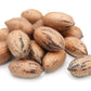 Anna and Sarah Premium Georgian Raw Fresh Pecans in Shell, 2 Lbs