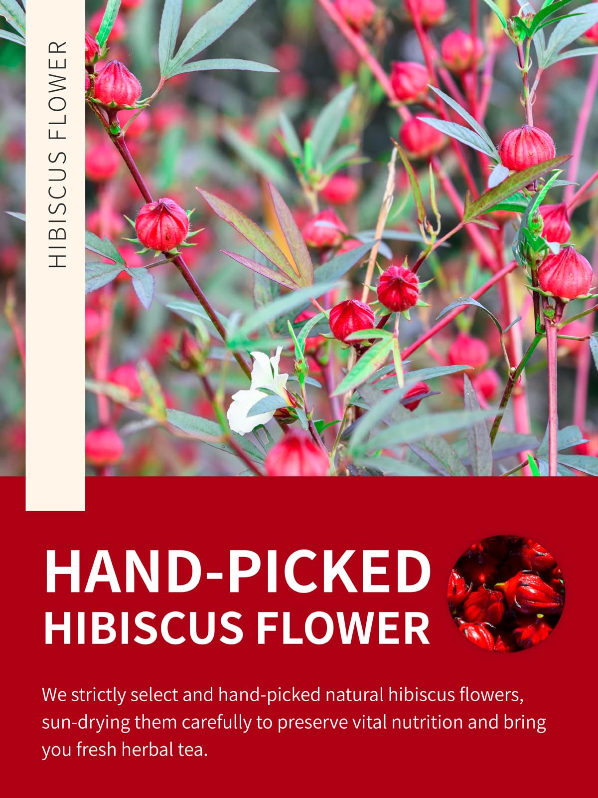 TeeLux Hibiscus Tea Loose Leaf, Dried Herbal Tea, Caffeine Free, 16oz