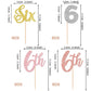 24 Pcs Six Cupcake Toppers Glitter Six 6Th Birthday Cupcake Picks Number 6 Six Cake Picks For Baby Shower Kids 6Th Birthday Anni