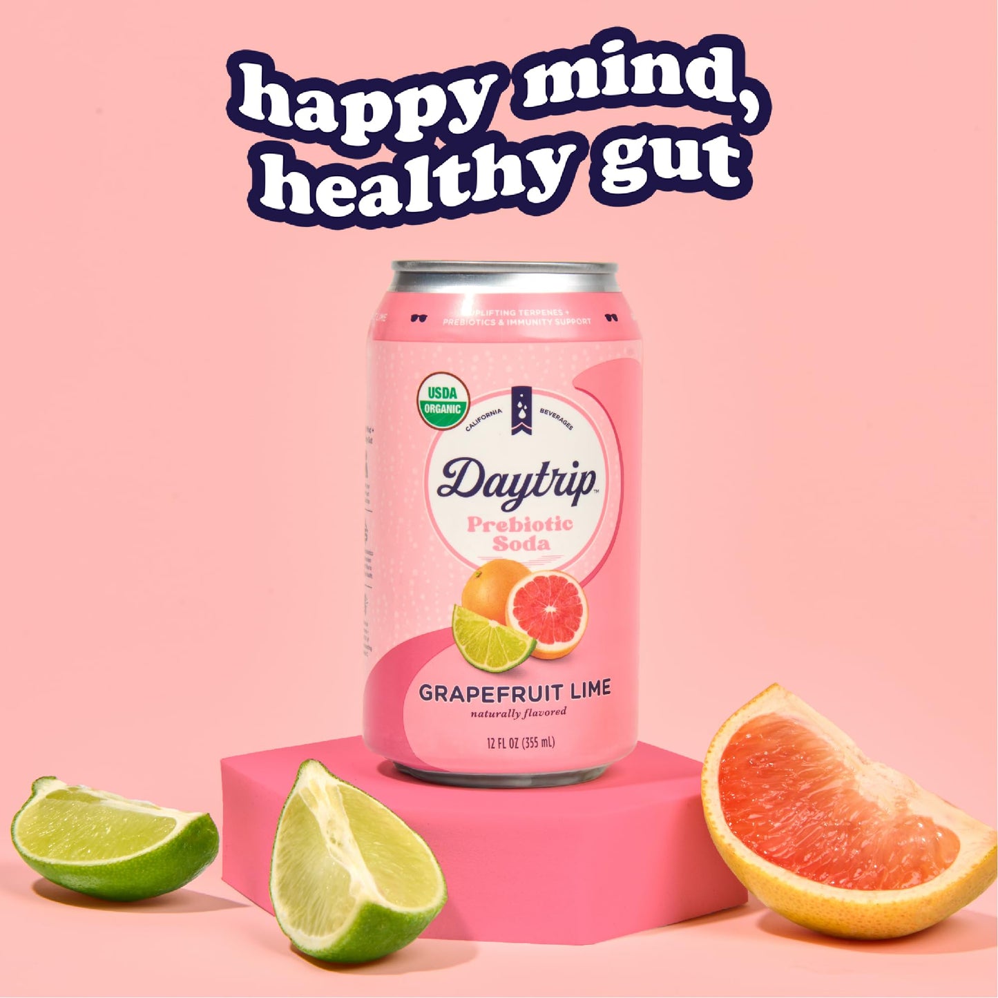 Daytrip Organic Sparkling Prebiotic Soda, Low Sugar, 12-Pack - G fruit