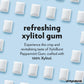 Xyloburst XyloBurst Chewing Gum, Sugar Free, Keto Friendly, Peppermint, 500 Count Bag, Model 585216