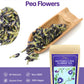 TeeLux Butterfly Pea Flower Tea, Non-GMO, Dried, 3.5 Oz