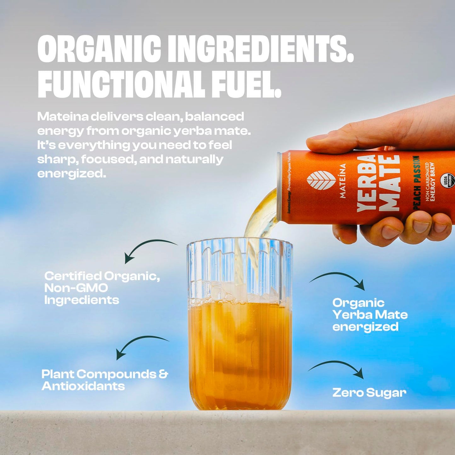 Mateina Yerba Mate Zero Sugar Energy Drink - 120mg Natural Caffeine - Organic  Non-GMO  Non-Carbonated - Dr. Andrew Huberman Recommended - 12 Pack (12oz Cans) (12 Pack  Peach Passion)