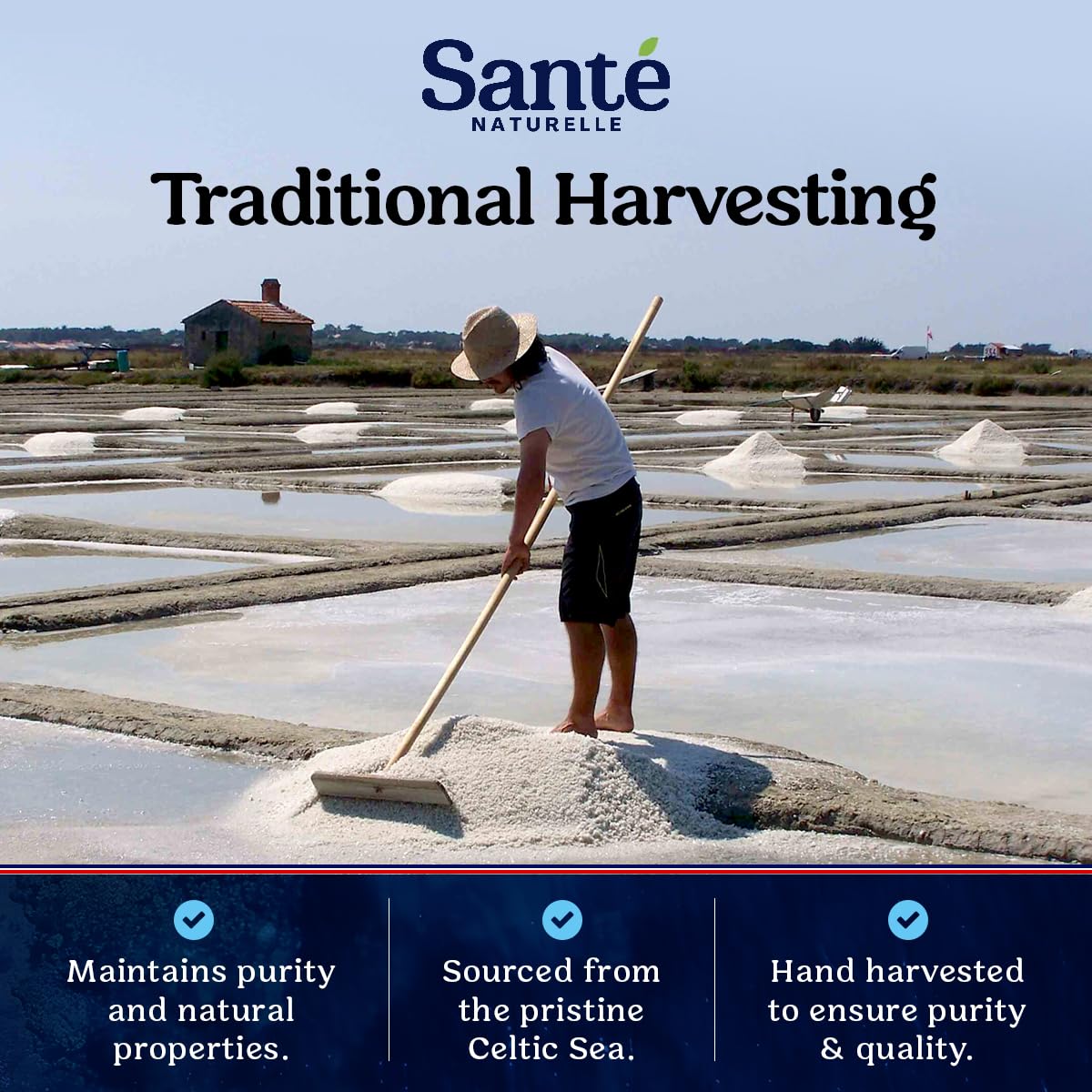 Sante Naturelle Celtic Salt Fine Ground Sea Salt - 1.1lb (18oz) Pack of 3  Unrefined Organic French Sea Salt  Rich in 82+ Minerals Salt  100% Natural & Hand Harvested Sal Celtica