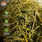 Angel Brand Dried Cerasse Leaves 0.25 0Z Pouch Pack Of 3 - Organic Melon Bitter Leaf Spice Derived From Melon Plant - Provides Health Benefits - Offers Slightly Bitter & Robust Flavor