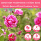Dried Rose Buds Tea, Edible Roses Whole Flowers Loose Leaf Herbs, Premium Rose Herbal Beverages, Natural Healthy Fragrant, 2.8 O