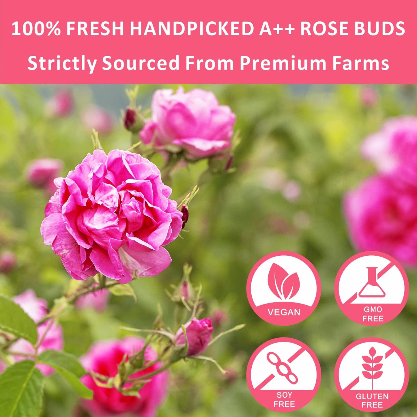 Dried Rose Buds Tea, Edible Roses Whole Flowers Loose Leaf Herbs, Premium Rose Herbal Beverages, Natural Healthy Fragrant, 2.8 O