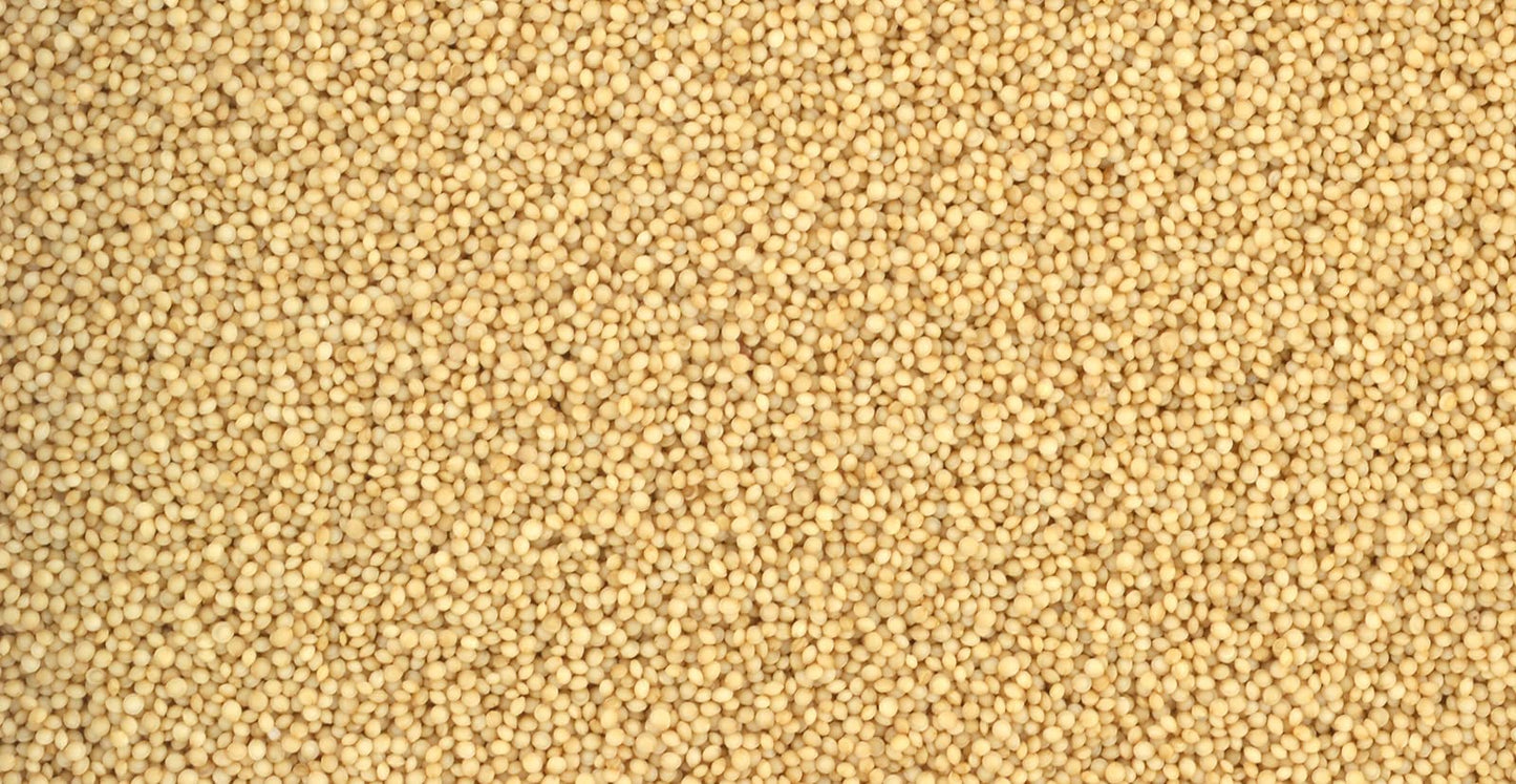 Organic Whole Grain Amaranth Grain Seeds non-GMO RAW non-GMO Vegan Bulk (3LB)