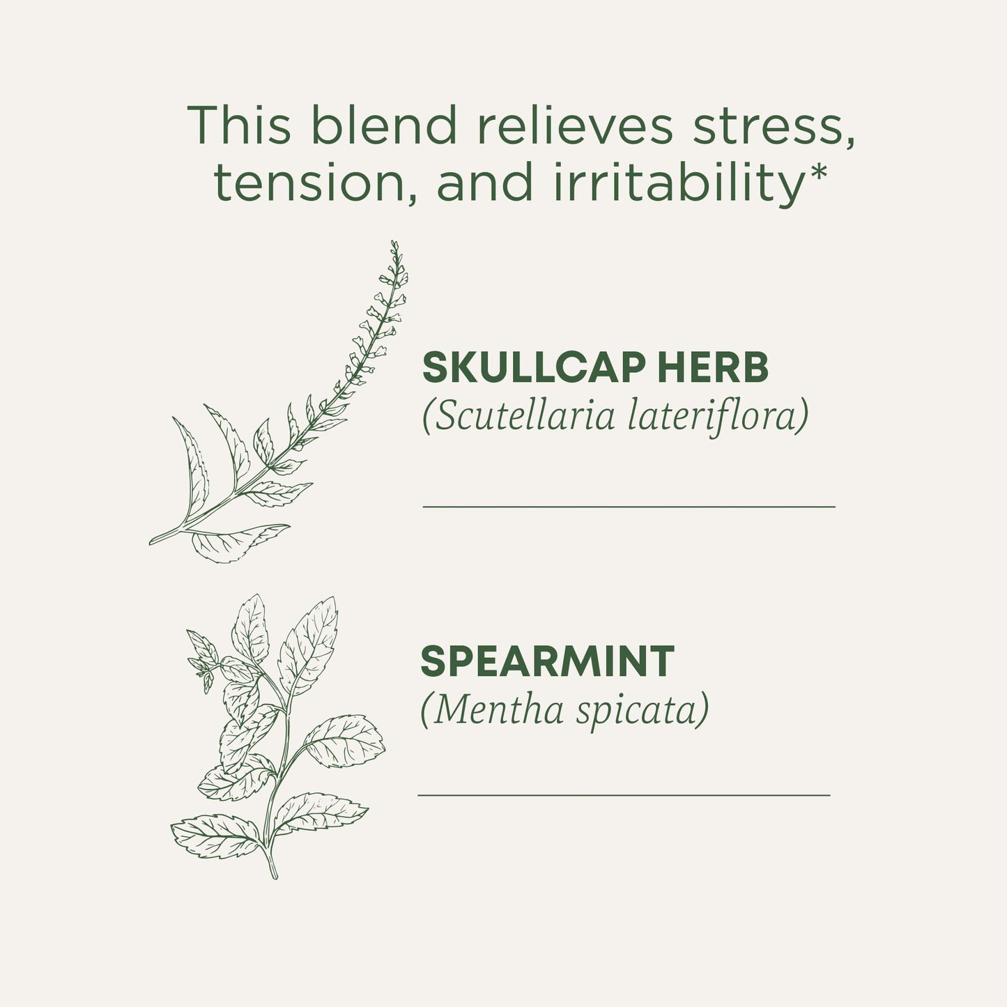 Traditional Medicinals Organic Stress Ease Tea, 96 Tea Bags (6 Pack), Relieves Tension, Promotes Relaxation