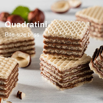 Loacker Quadratini Hazelnut Wafer Cookies LARGE - Premium Crispy Bite Size Wafers - 30% Less Sugar - NON-GMO - LARGE Pack of 6