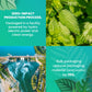 Organic Nettle Leaf Tea | Eco-Friendly Tea Bags | Non-Gmo Caffeine Free Tea With Zero Sugar | Cederberg Tea Company.