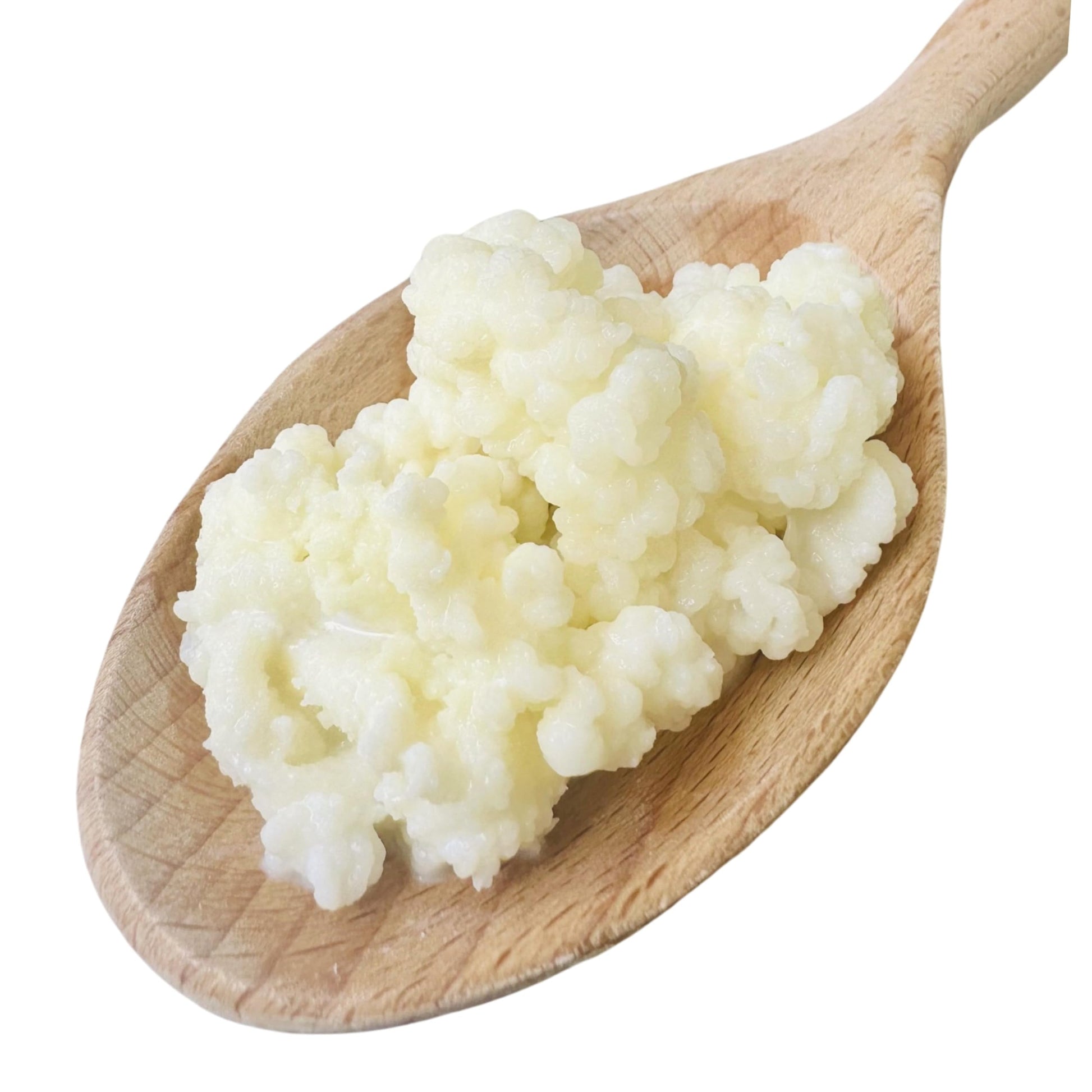 NatuDelight Milk Kefir Grains - 1 TBSP Live Active Probiotic Culture for Homemade Kefir, 1 Fl Oz