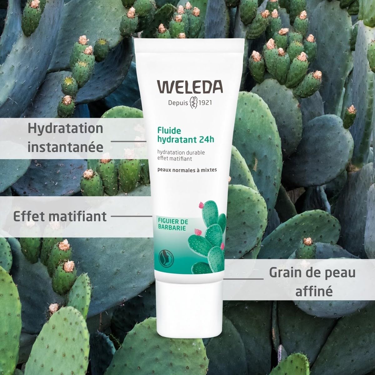 Weleda Sheer Hydration Daily Dew Face Lotion, 1 Fluid Ounce, Plant Rich Moisturizer With Prickly Pear Cactus Extract And Aloe Vera