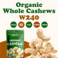Food to Live Organic Cashews, 8 Pounds - Whole, Size W-240, Unsalted, Non-GMO, Kosher, Raw, Vegan, Bulk