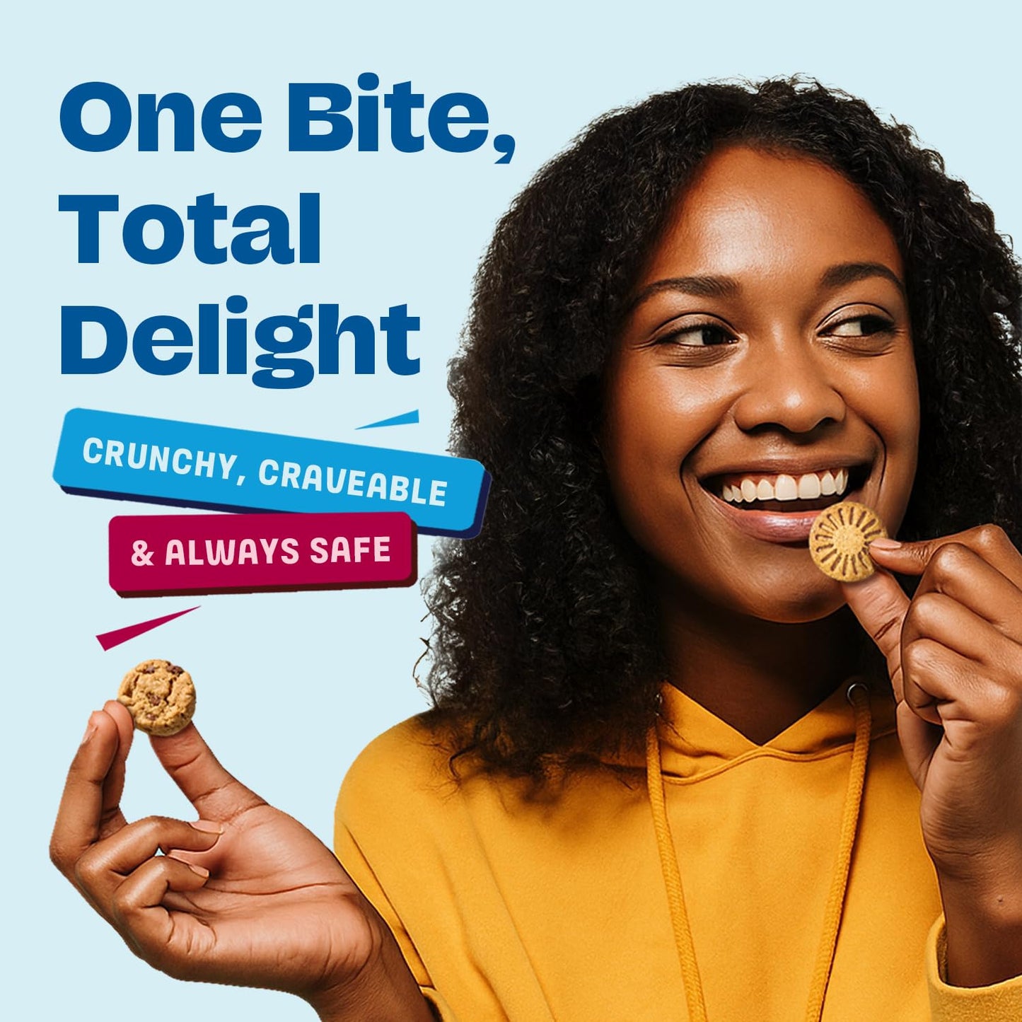 Gluten Free Partake Crunchy Chocolate Chip Cookies + Classic Graham Crackers Variety Pack - Vegan - Free From the Top 9 Allergen