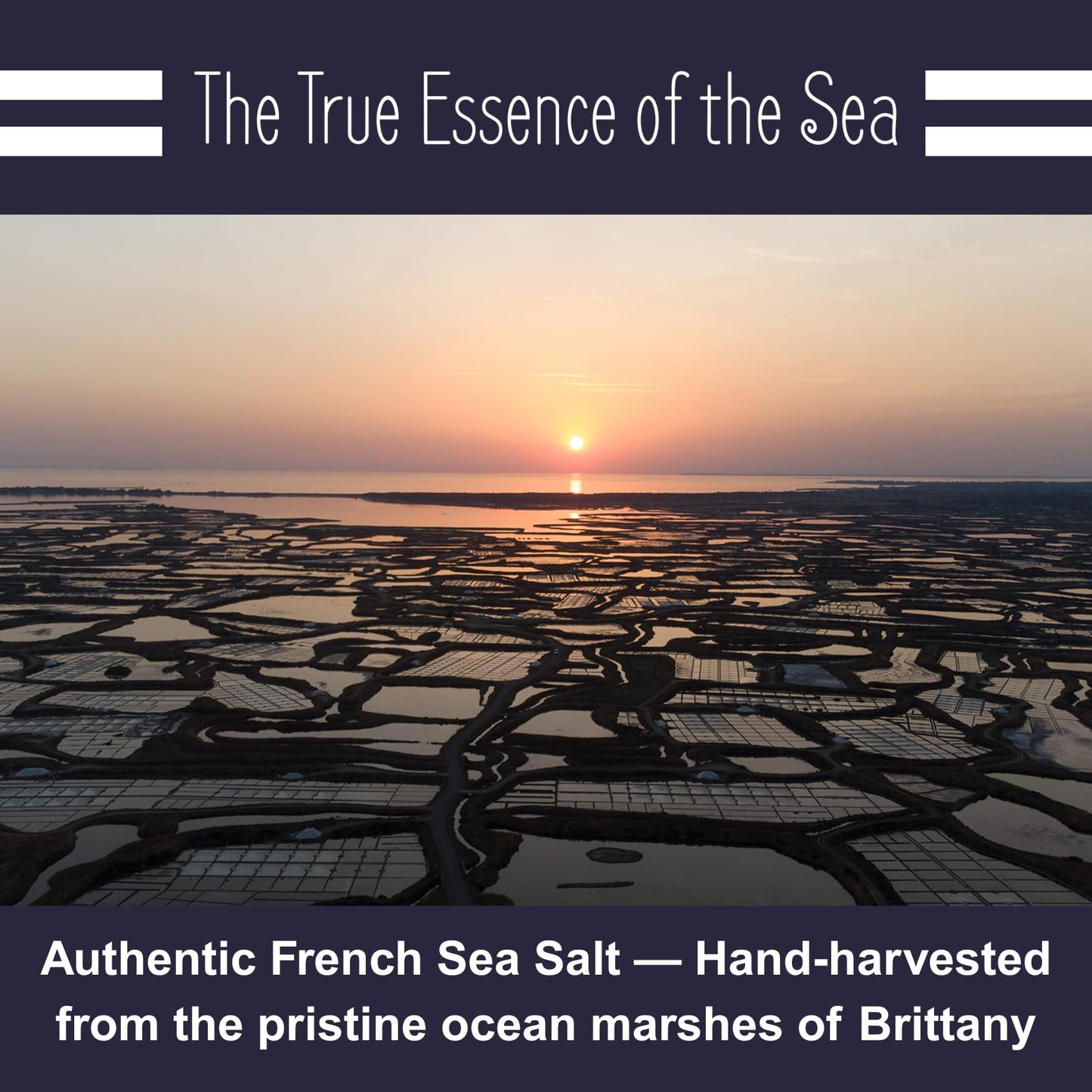 LE MARINIER CELTIC SALT Extra Fine French Sea Salt, 8.81oz, Unrefined Mineral Rich from the Celtic Sea