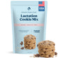 Mommy Knows Best Lactation Cookies Mix - Oatmeal Chocolate Chip, 16 oz, Model MKB-CM-OCC-16OZ