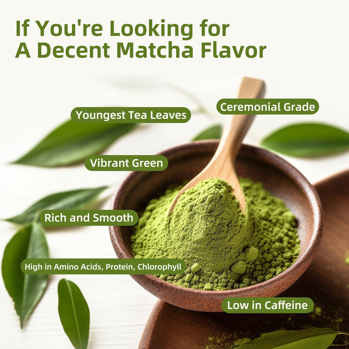 Ganoherb Mushroom Matcha Latte Powder, 7.4 Ounce, 7 Superfood Mushrooms With 25% Beta-Glucans, Lions Mane, Reishi, Chaga, Coconu