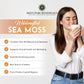 Reds Pure Botanicals Wildcrafted Sea Moss - Raw Vegan Non-GMO - 4oz Dry Makes 60-80oz Gel - Hand-Harvested from St. Lucia
