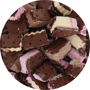 Arctic Farms Freeze Dried Ice Cream Sandwich Bites - Does Not Melt (Neapolitan) (1.1Oz)