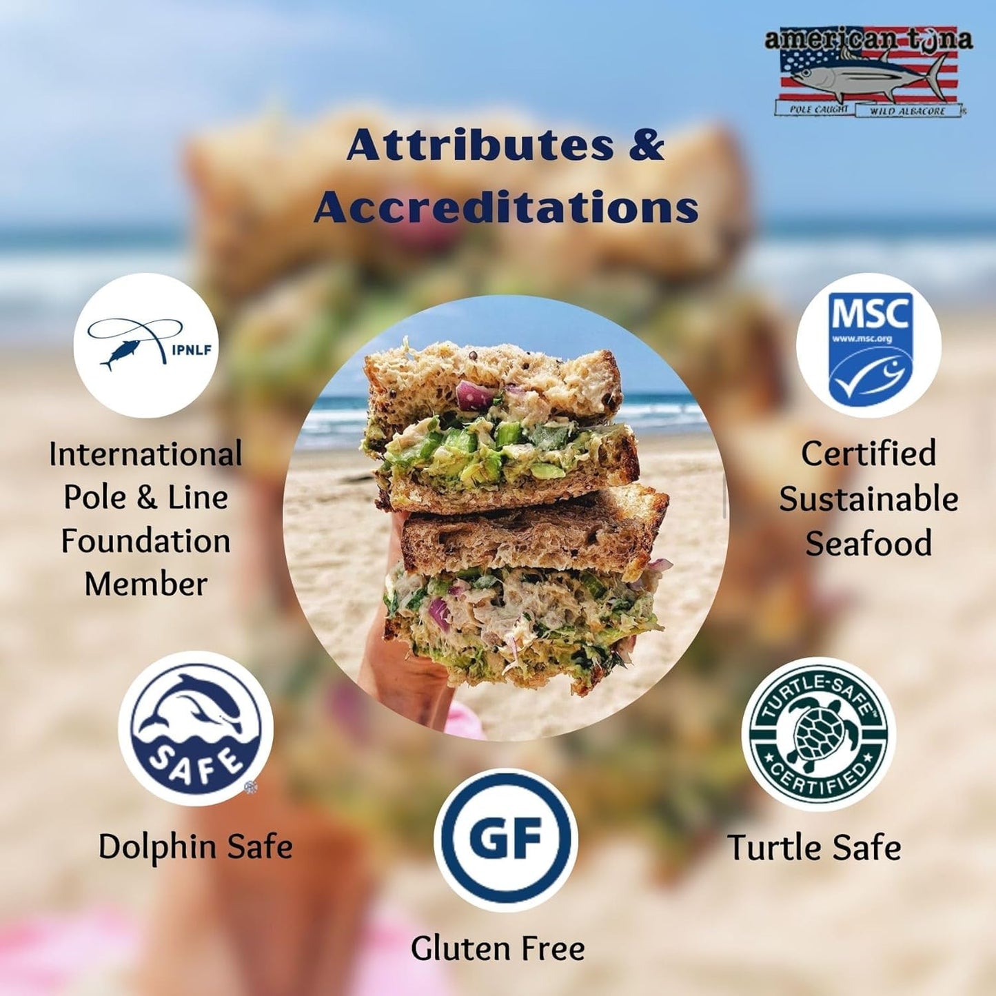 Wild Albacore Tuna Fish By American Tuna - No Salt Added, Wild Caught, Msc Certified, And One-By-One Pole Caught | (6) 6 Ounce C