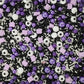 1 Bottle Candy Eyeballs Eyes Cake Cupcake Toppers Edible Baking Purple Sugar Pearls Halloween Sprinkles Cookie Decorations Holiday Party Christmas Supplies(100G/3.5Oz)