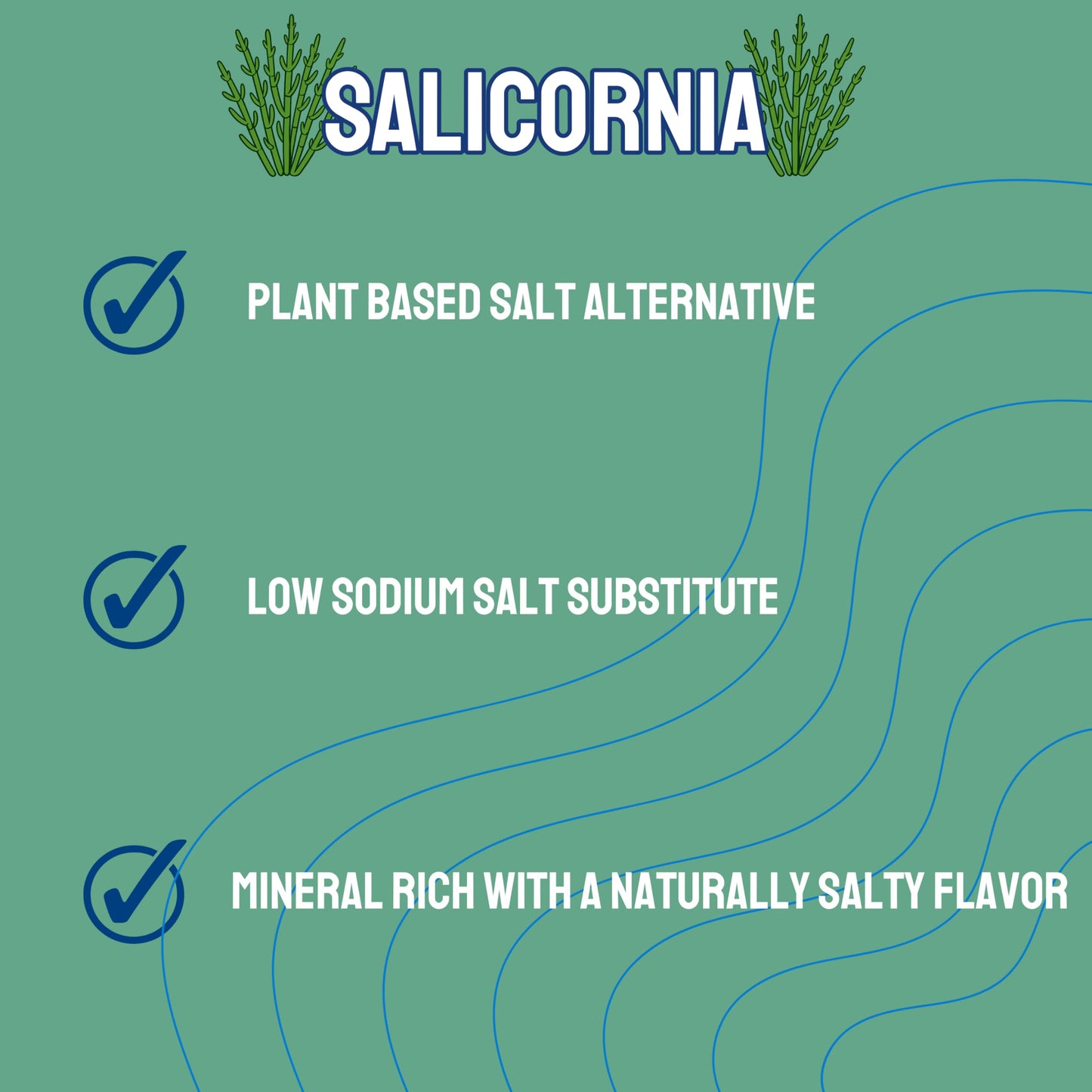 crait Green Salt Salicornia, Low Sodium Plant-Based Seasoning, 100% Natural, 4 Ounce