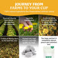 HANDPICK Dandelion Root Tea Bags - Natural Herbal Tea, Caffeine-Free, 100 Count
