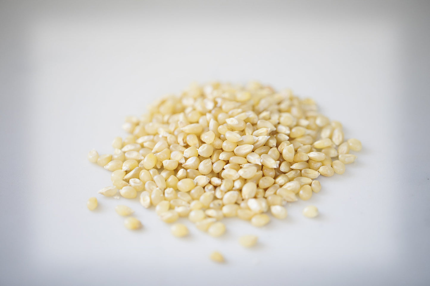 Amish Country Popcorn | 50 lb Bag | Baby White Popcorn Kernels | Old Fashioned, Non-GMO and Gluten Free (Baby White - 50 lb Bag)