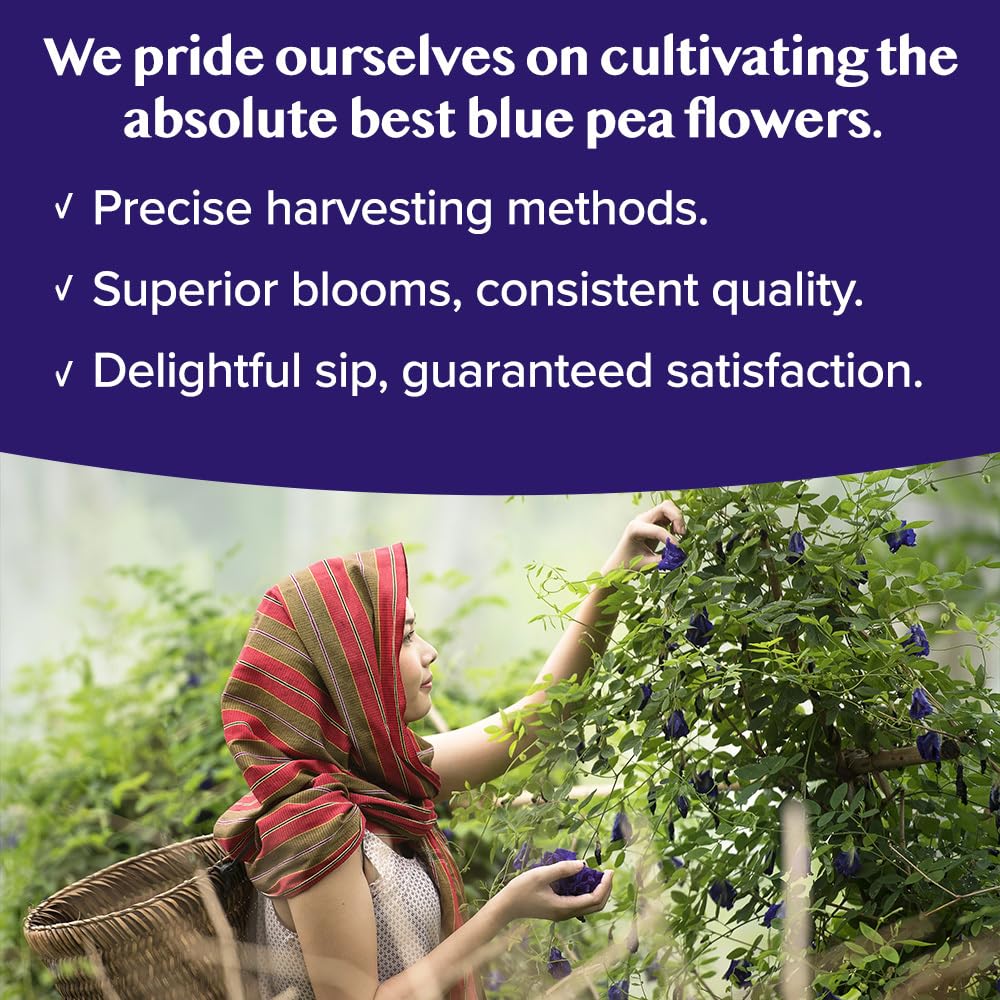 VAHDAM Butterfly Pea Flower Tea Bags - Vegan, Non-GMO, 40 Pyramid Teabags, Biodegradable for Iced Tea, Cooking & Cocktails