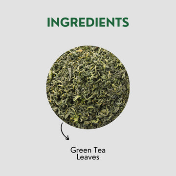 Tea Leaf & Co. Classic Green Tea Loose Leaf - 100% Organic - Low Caffeine - 50 Servings - 3.52oz/100gm