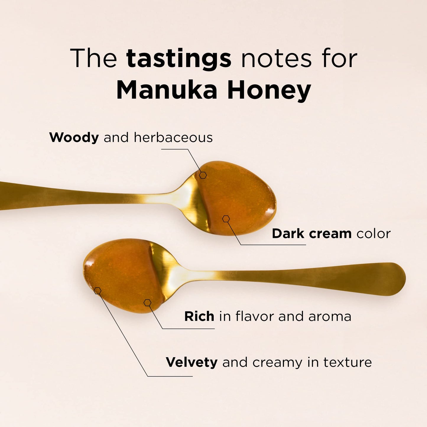 Manuka Doctor Manuka Honey MGO 625+ Raw Non-GMO 8.75 oz Monofloral Honey, 100% Pure New Zealand Honey, Model MD348US