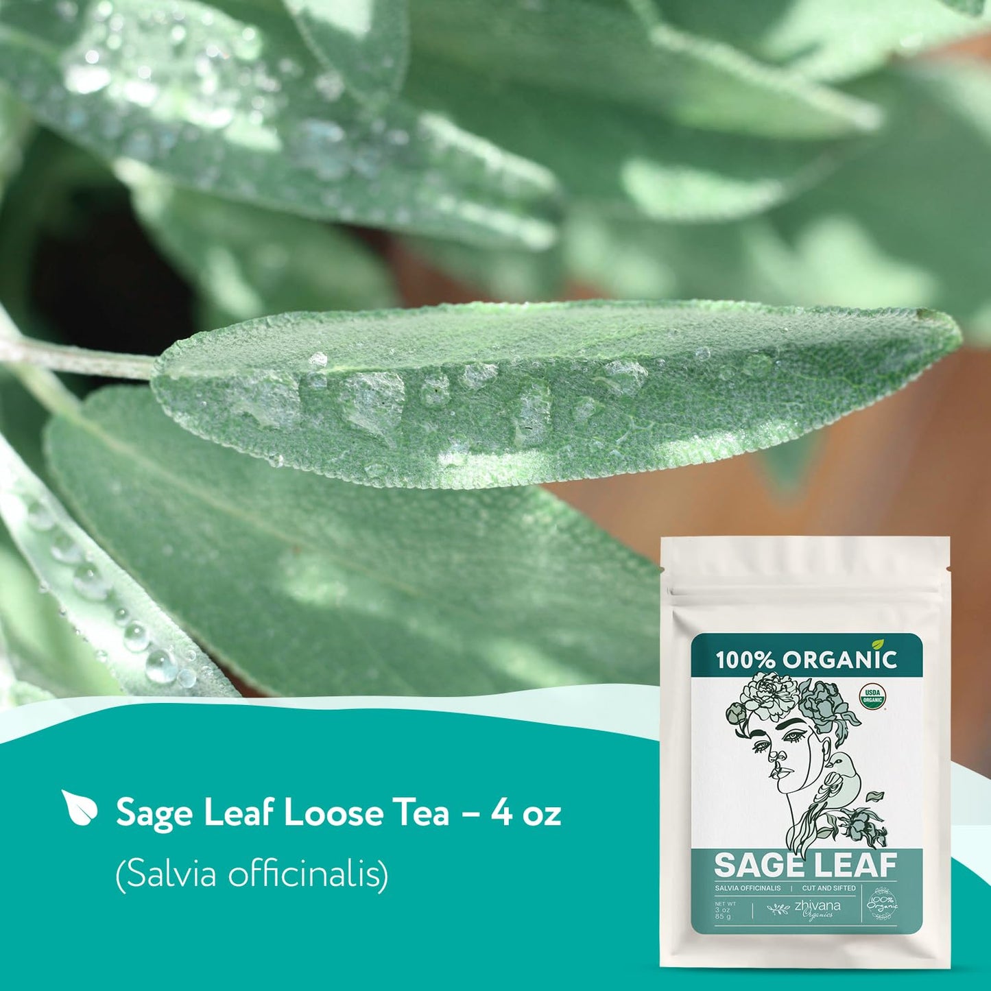Organic Sage Leaves (4 oz.) - Sage Tea Loose Leaf (Salvia officinalis) - Salvia Tea for Mind & Body Wellness - Focus and Clarity