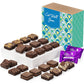 Fairytale Brownies Get Well Magic Morsel 24 Individually Wrapped Gourmet Chocolate Food Gift Basket - 1.5 Inch X 1.5 Inch Bite-S