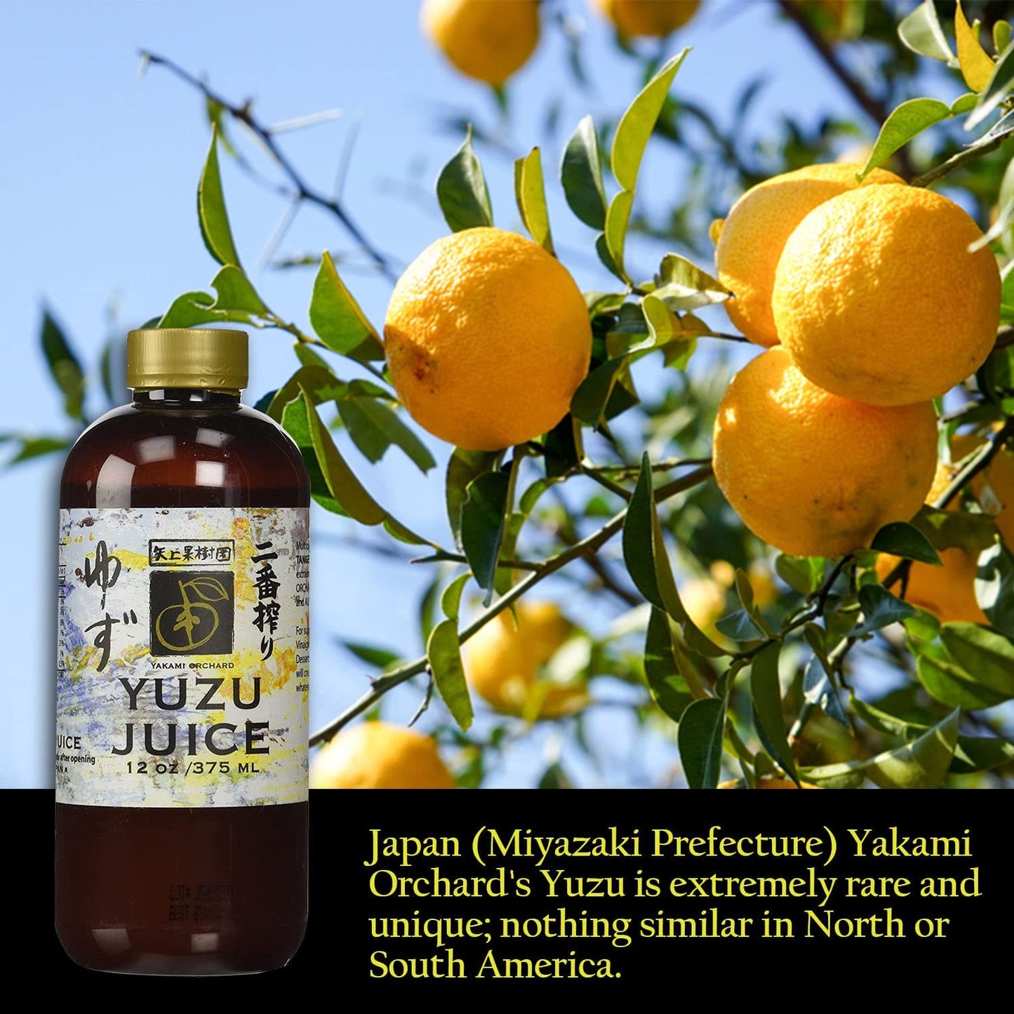 Yakami Orchard 100 % Pure Japanese Yuzu Juice, 12 Ounce (Pack of 2)