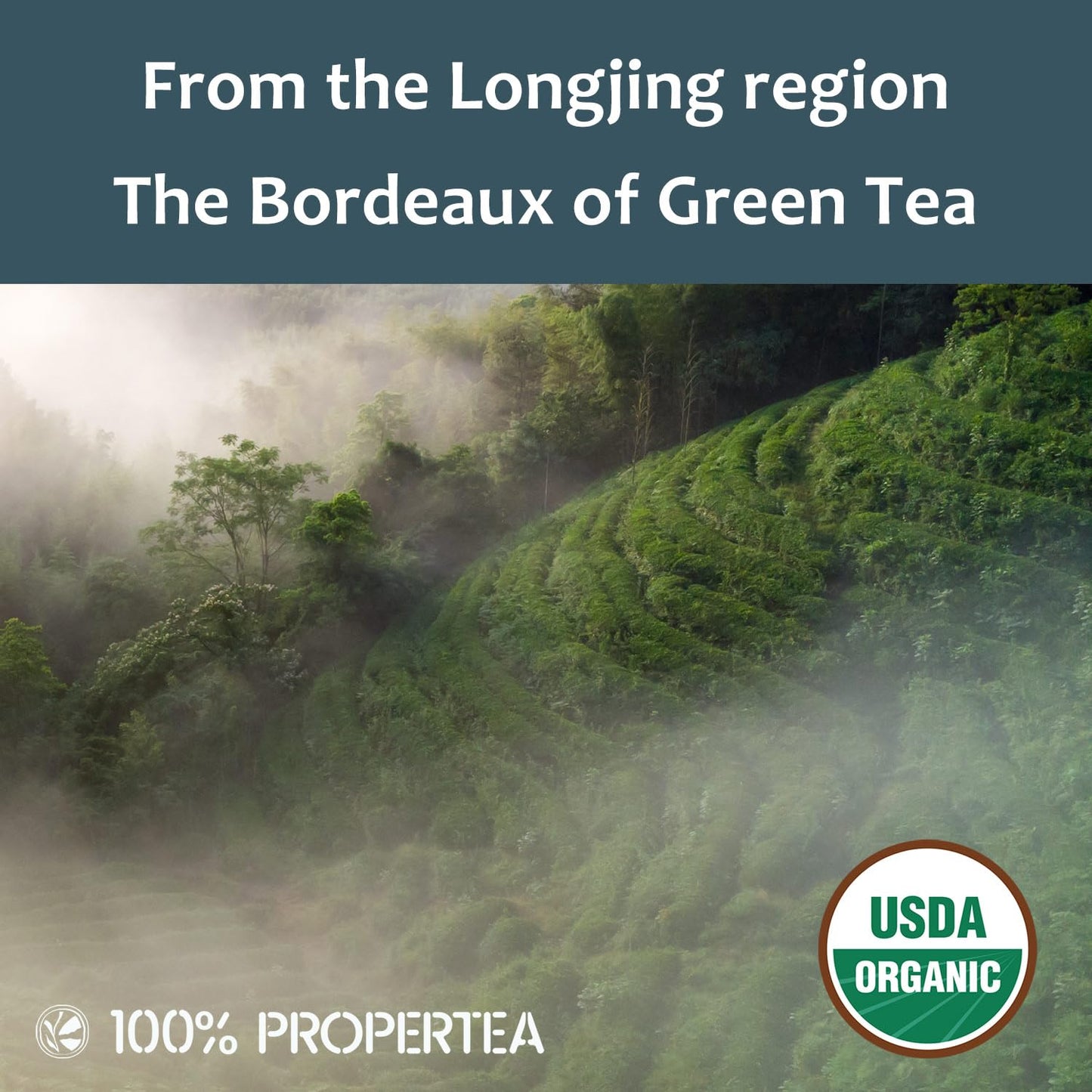 100% Propertea Deep Organic Green Tea, Individually Wrapped, Caffeinated, Rich In Antioxidants, 100 Tea Bags