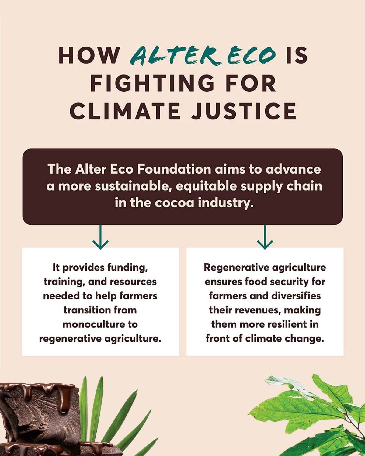 Alter Eco | Mint Creme Truffles | 58% Pure Dark Cocoa, Fair Trade, Organic, Non-Gmo, Gluten Free Dark Chocolate Truffles | 60 Tr