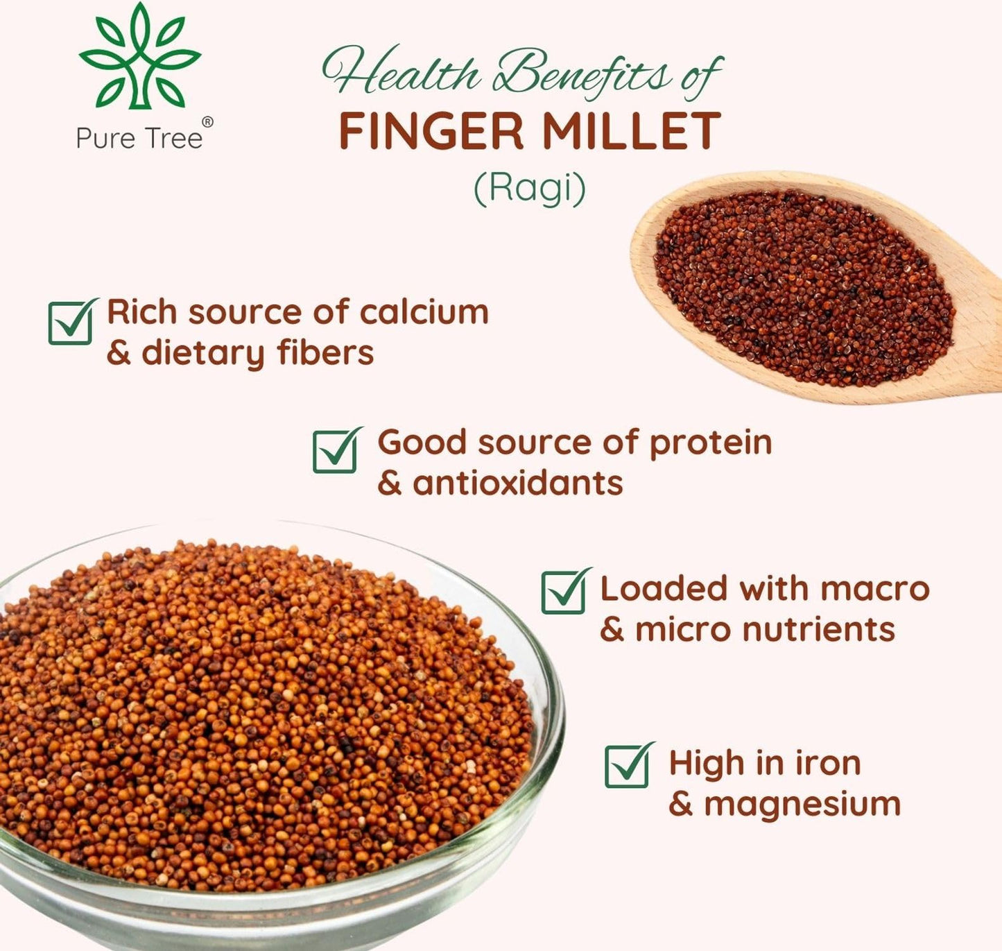 Pure Tree Certified Organic Ragi Whole | 900 G | Finger Millet | Nachni | Nagli | Ragi Millet Gluten-Free | Bavto | Red Finger M