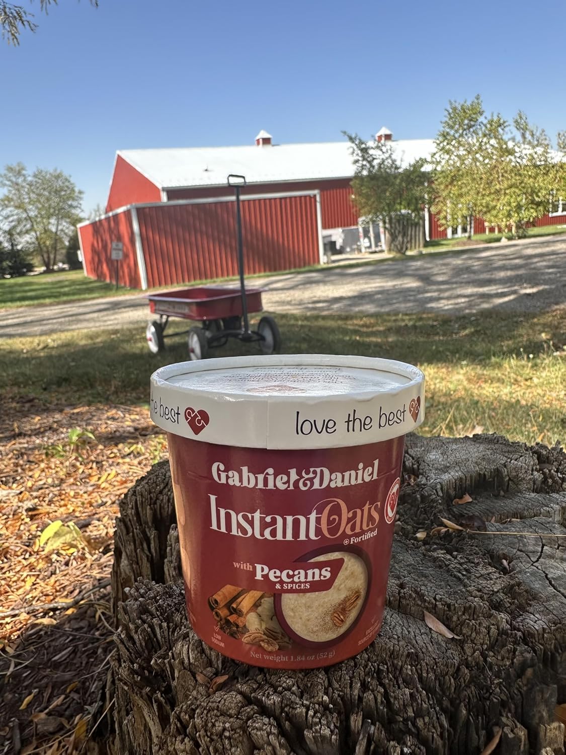 Gabriel & Daniel Hot Cereal & Organic Instant Oatmeal Variety Pack - Non-GMO, Gluten Free, 12 Breakfast Cups