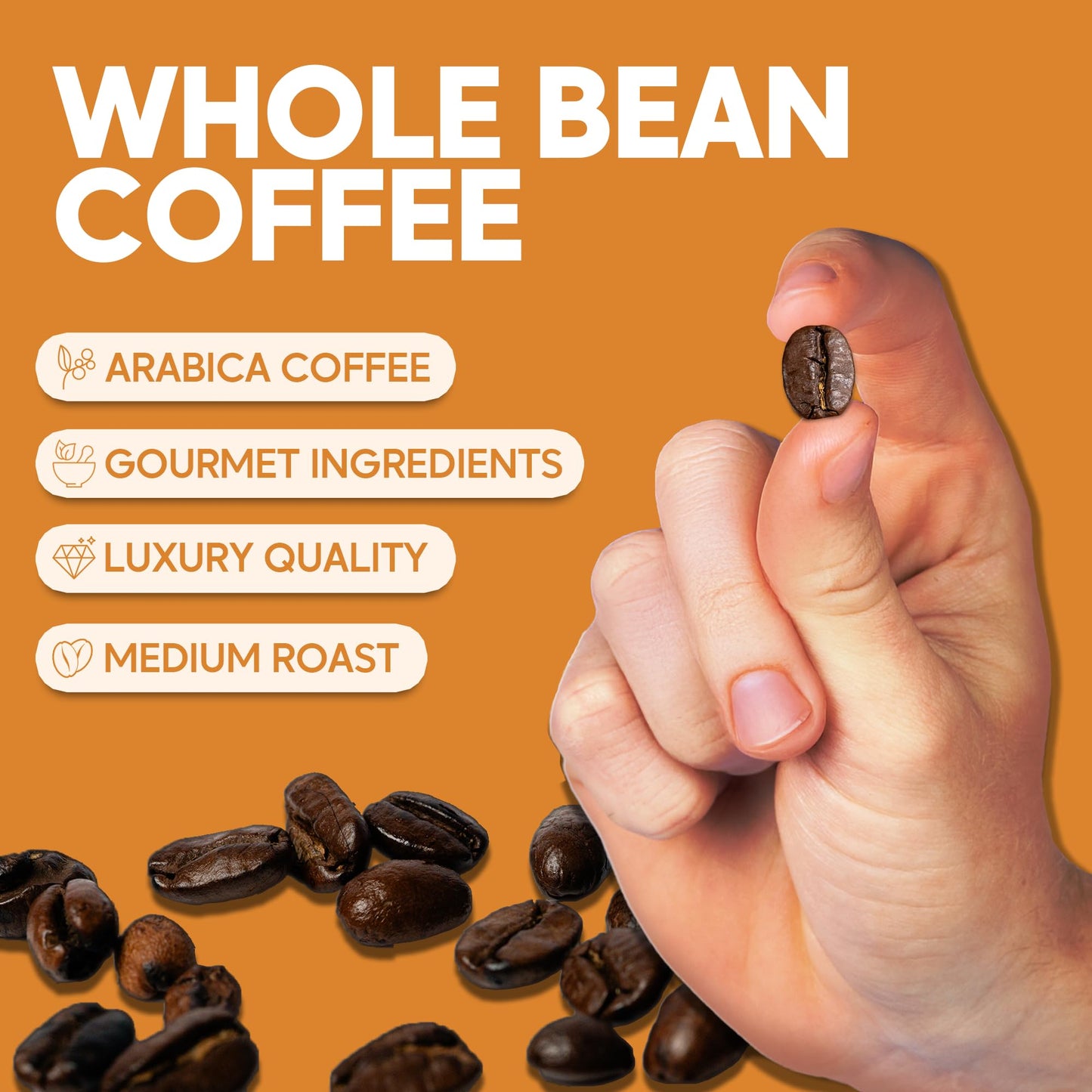 Sarasota Coffee Whole Bean Cinnamon Pecan Brownie | Medium Roast Gourmet Flavored Coffee Beans | Low Acid, Mold Free, Specialty