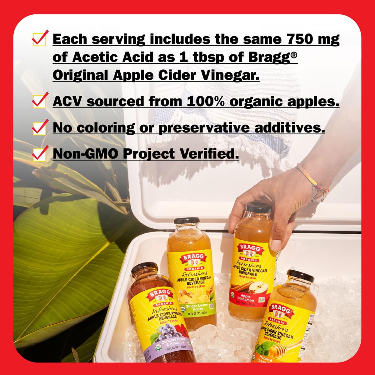 Bragg Organic Apple Cider Vinegar Beverage, Concord Hibiscus, 16 Fl Oz (Pack of 2)