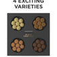 Lakrids By Blow - Slow Crafted Selection Box - 6.2 Oz - Gift Box With Chocolate Coated Gourmet Licorice Produced In Denmark